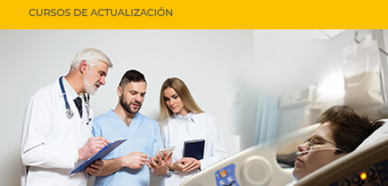 Terapia médica nutricional del paciente adulto. 2.ª edición